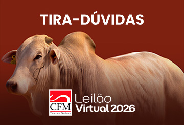 TIRA DÚVIDAS CFM